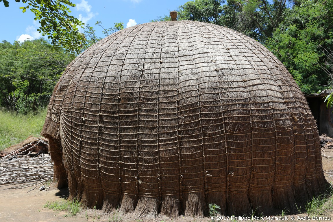 /ecran/Afrique_Sud_2017_0177.jpg