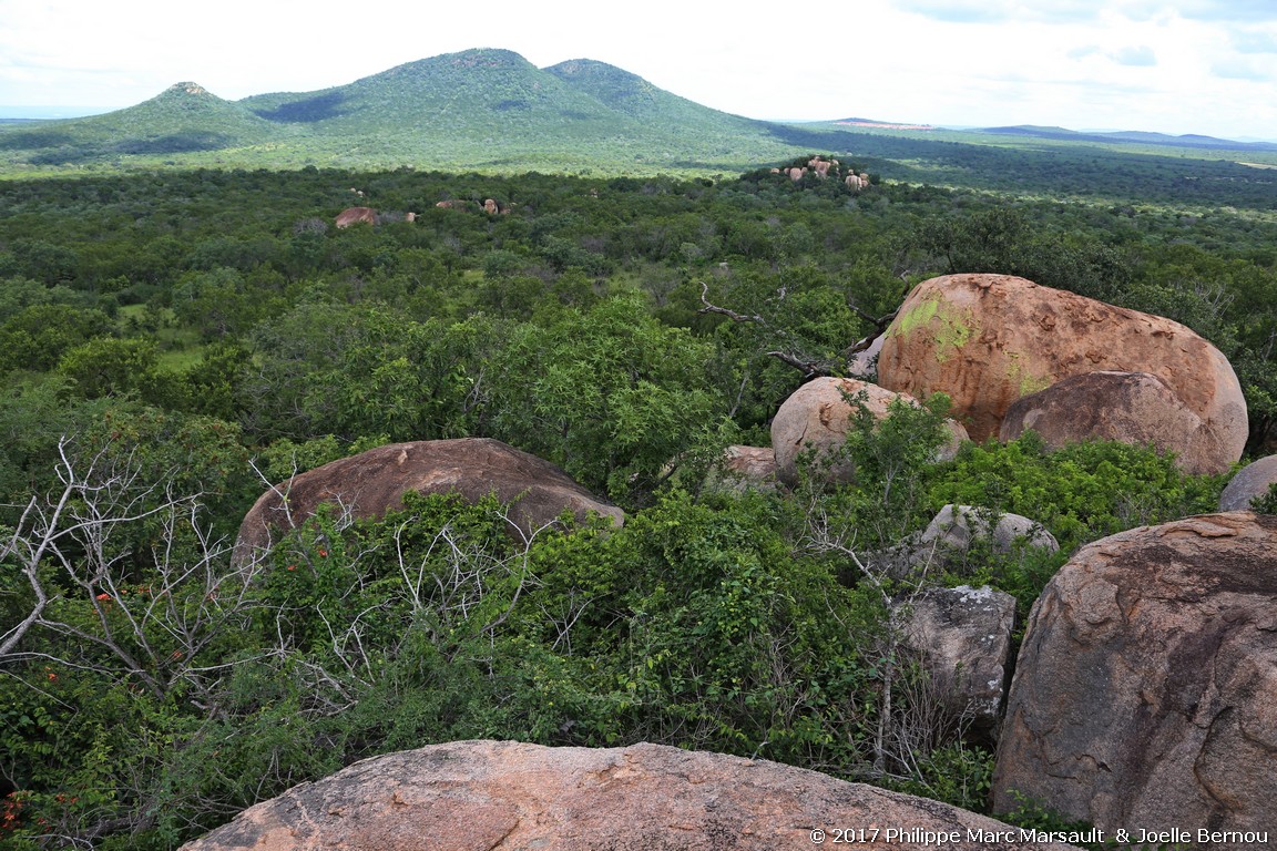 /ecran/Afrique_Sud_2017_0215.jpg