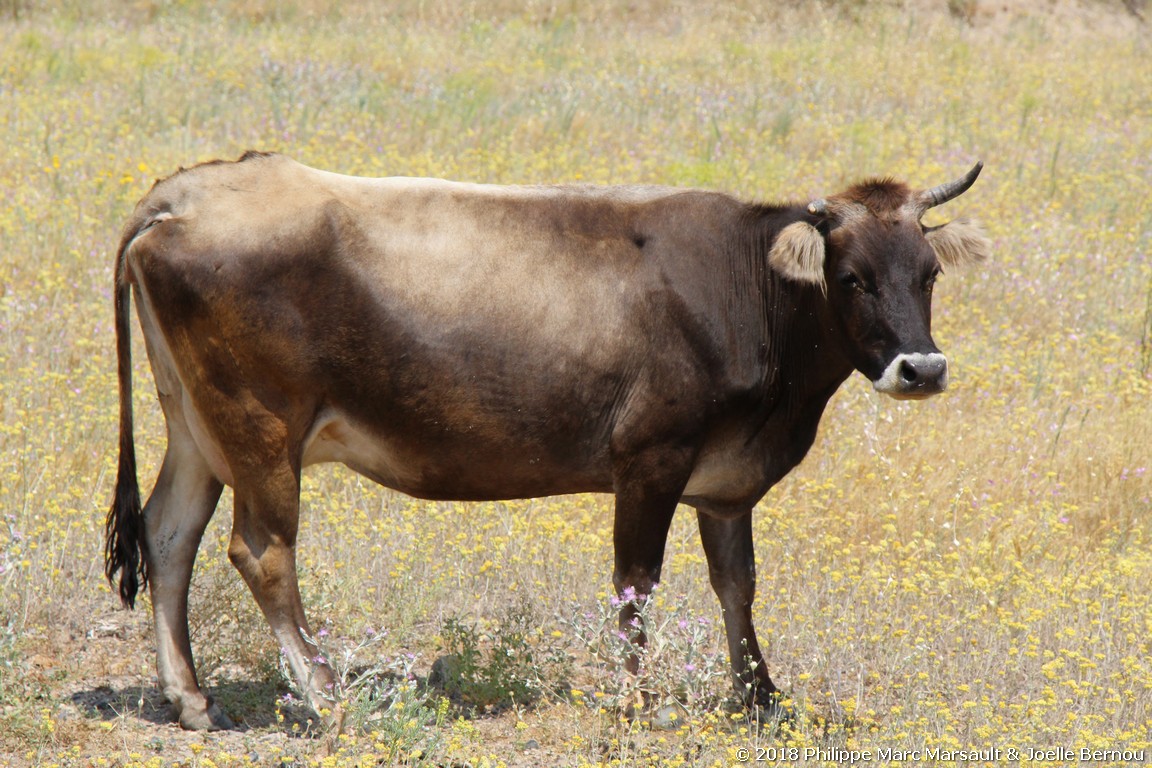 /ecran/Armenie_2018_0095.jpg