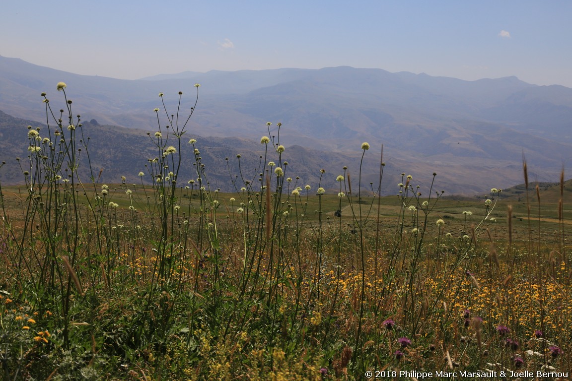 /ecran/Armenie_2018_0695.jpg