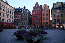 vignette 2023_Baltes_0010.jpg 