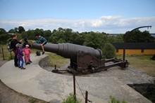 vignette 2023_Baltes_0241.jpg 