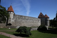 vignette 2023_Baltes_0342.jpg 