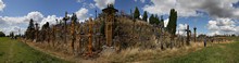 vignette 2023_Baltes_0756.jpg 