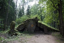 vignette 2023_Baltes_1036.jpg 