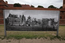 vignette 2023_Baltes_1243.jpg 