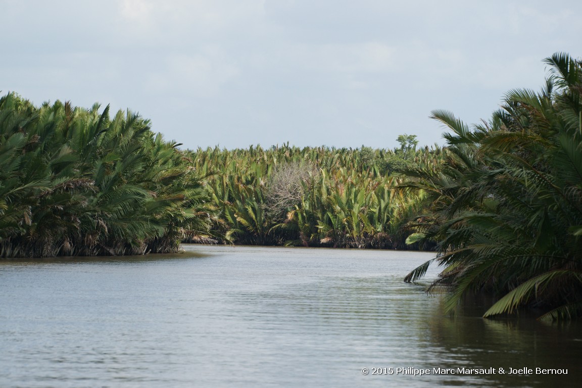 /ecran/Borneo_Bali_2015_0051.jpg