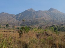 vignette Borneo_Bali_2015_1038.jpg 