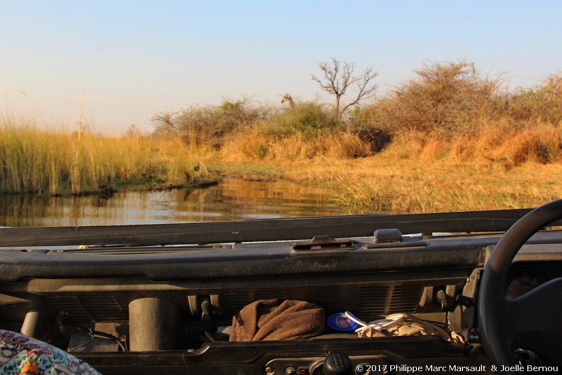 /ecran/Botswana_2017_0617.jpg