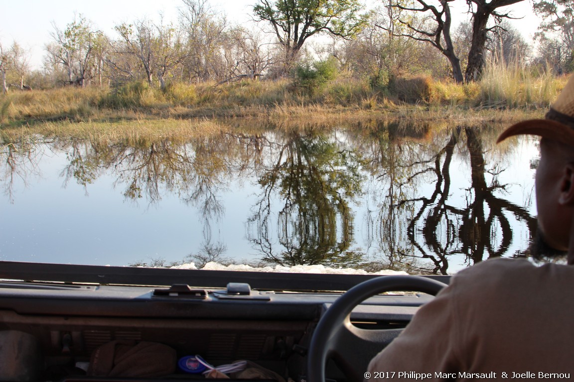 /ecran/Botswana_2017_0627.jpg