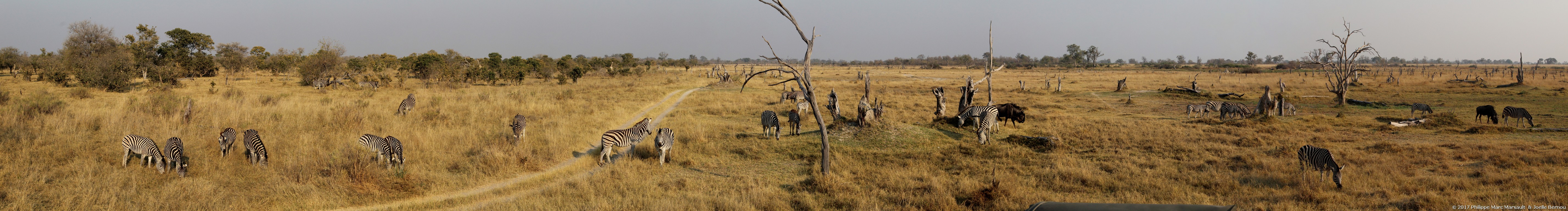 /ecran/Botswana_2017_0686.jpg