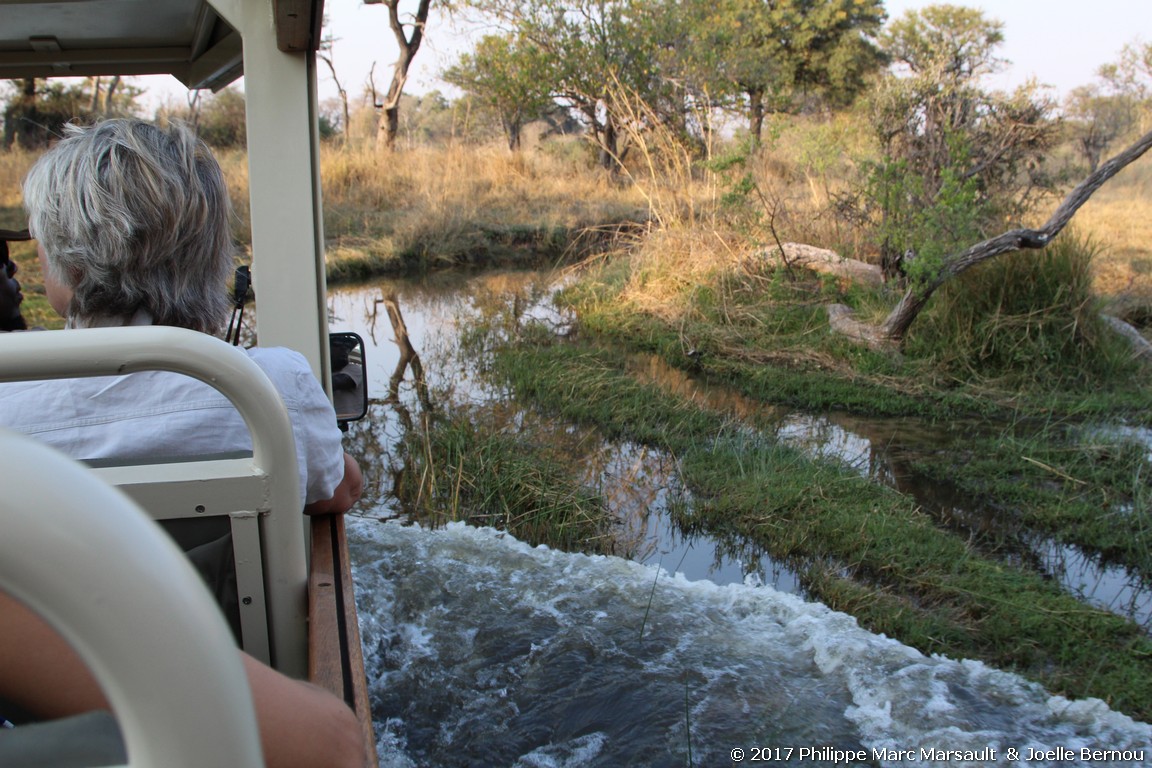 /ecran/Botswana_2017_0794.jpg