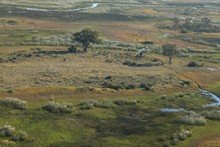 vignette Botswana_2017_0044.jpg