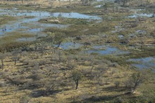vignette Botswana_2017_0051.jpg