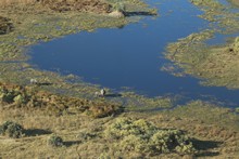 vignette Botswana_2017_0087.jpg