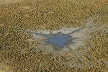 vignette Botswana_2017_0105.jpg