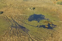 vignette Botswana_2017_0116.jpg