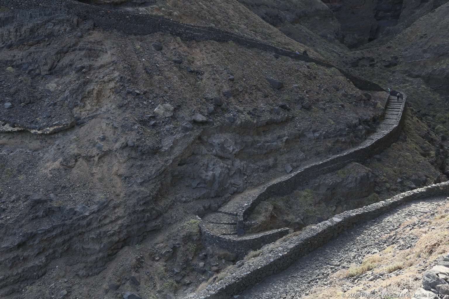/ecran/Cap_Vert_2020_1316.jpg