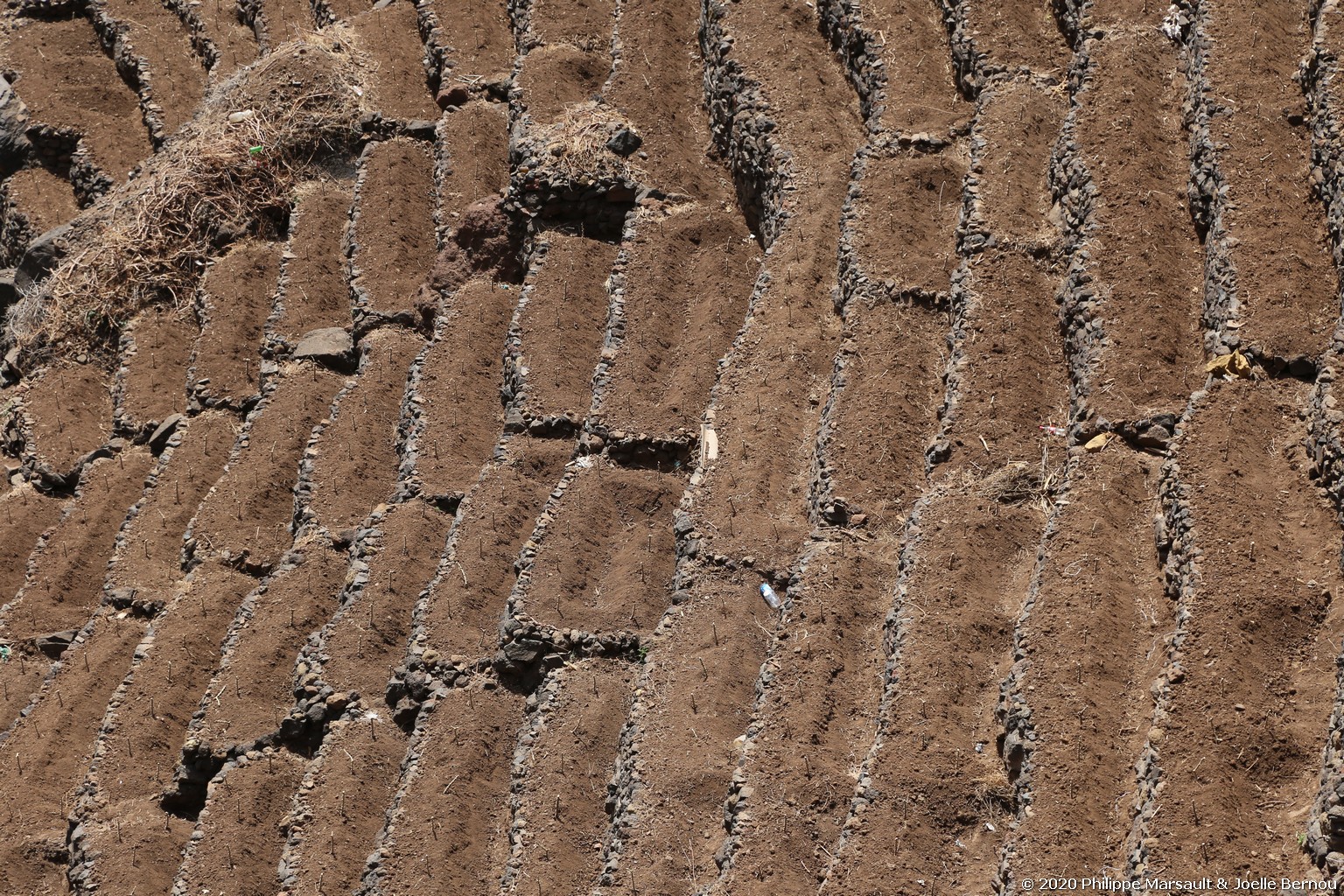 /ecran/Cap_Vert_2020_1364.jpg
