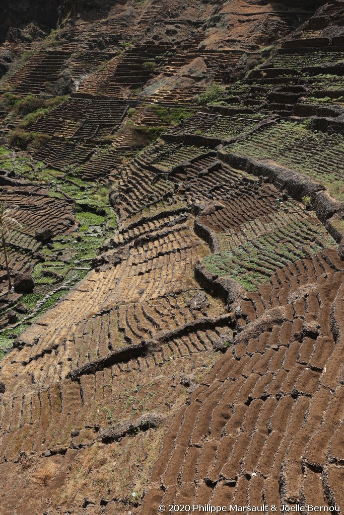 /ecran/Cap_Vert_2020_1370.jpg