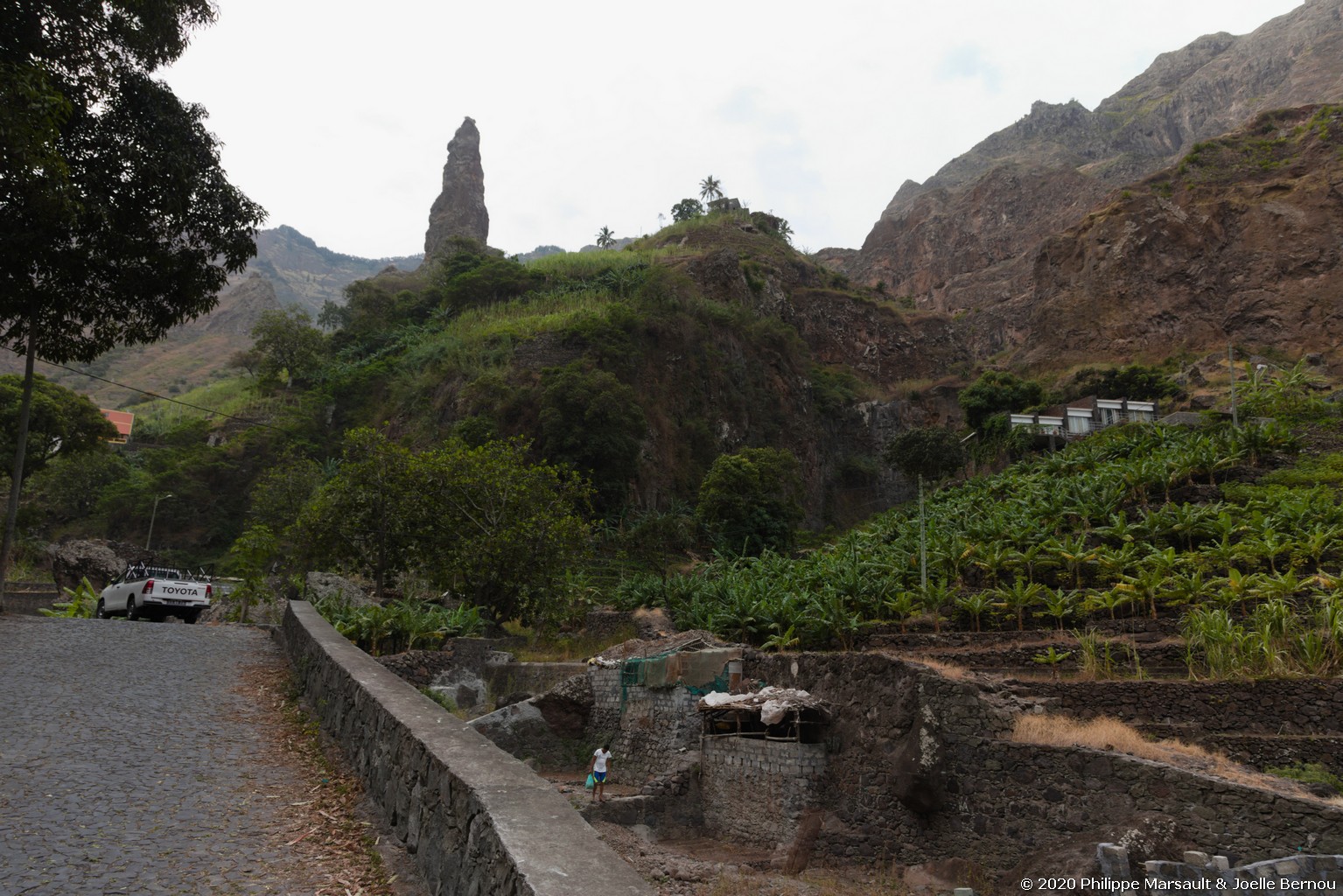 /ecran/Cap_Vert_2020_1449.jpg