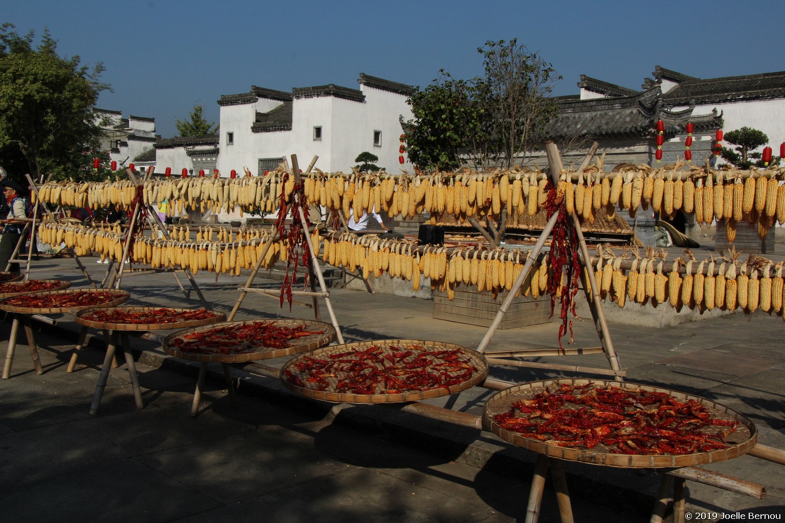/ecran/Chine_2019_1747.jpg