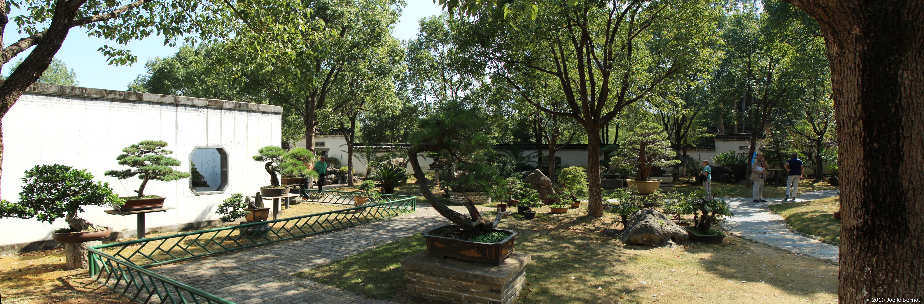 /ecran/Chine_2019_1859.jpg