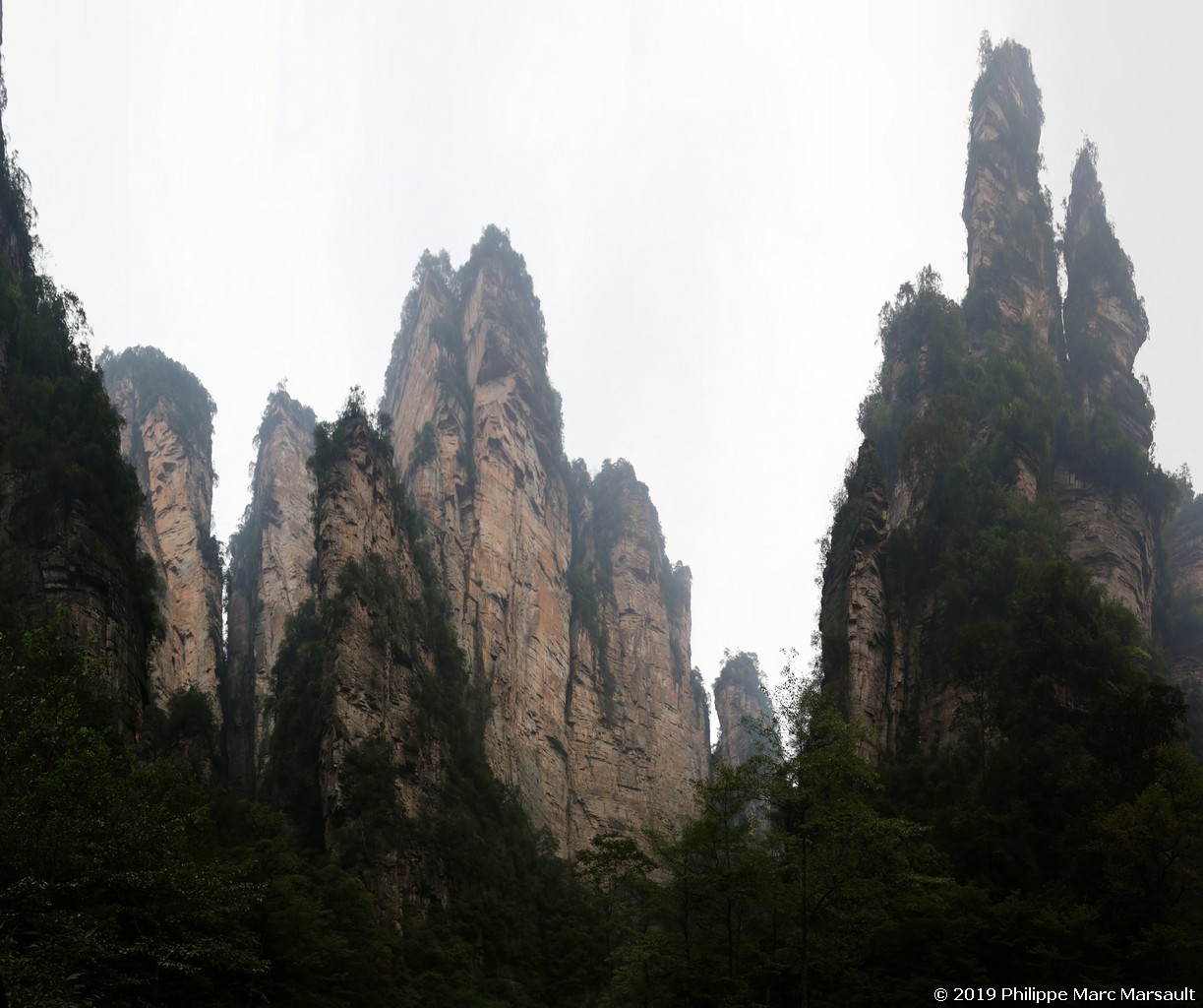 /ecran/Chine_Ph_2019_0363.jpg