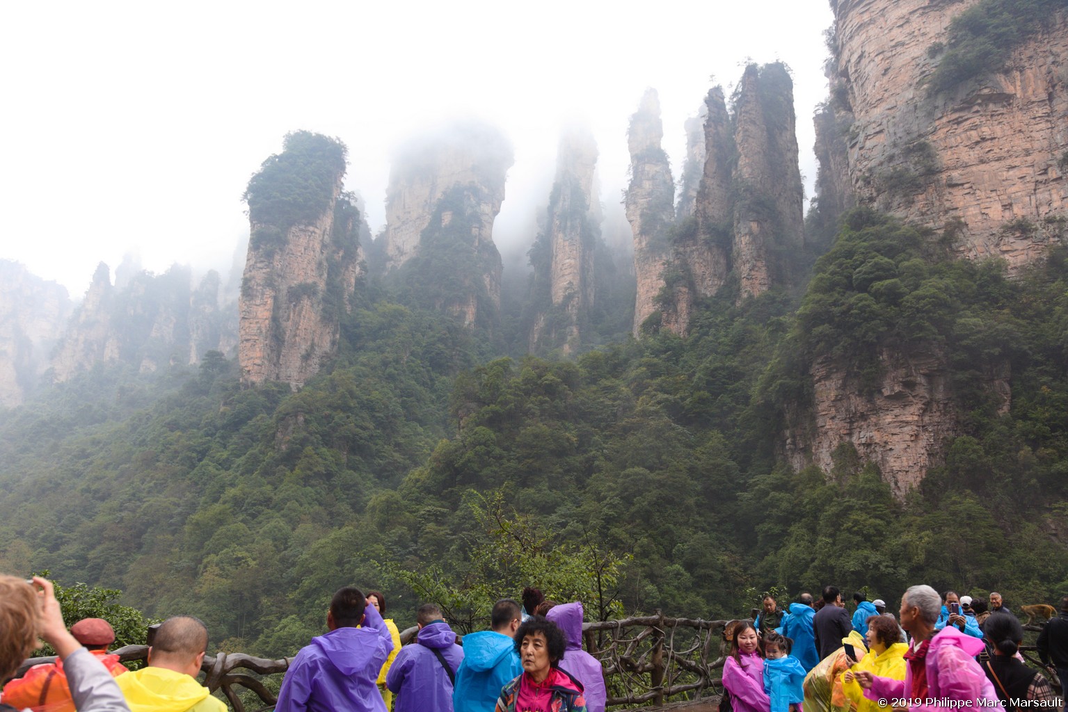 /ecran/Chine_Ph_2019_0389.jpg