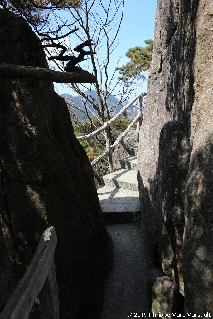 /ecran/Chine_Ph_2019_0684.jpg