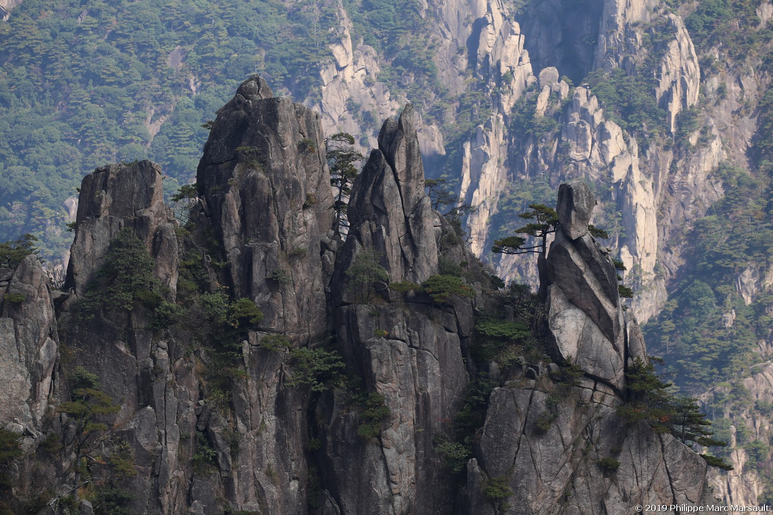 /ecran/Chine_Ph_2019_0697.jpg