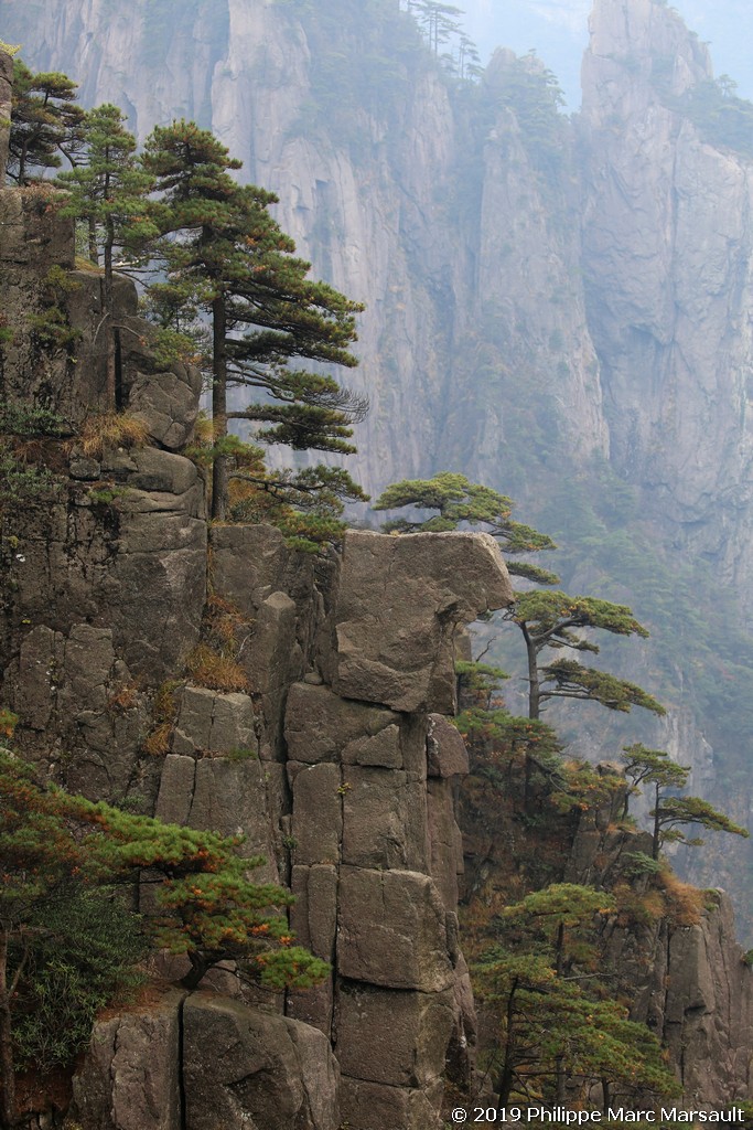 /ecran/Chine_Ph_2019_0709.jpg