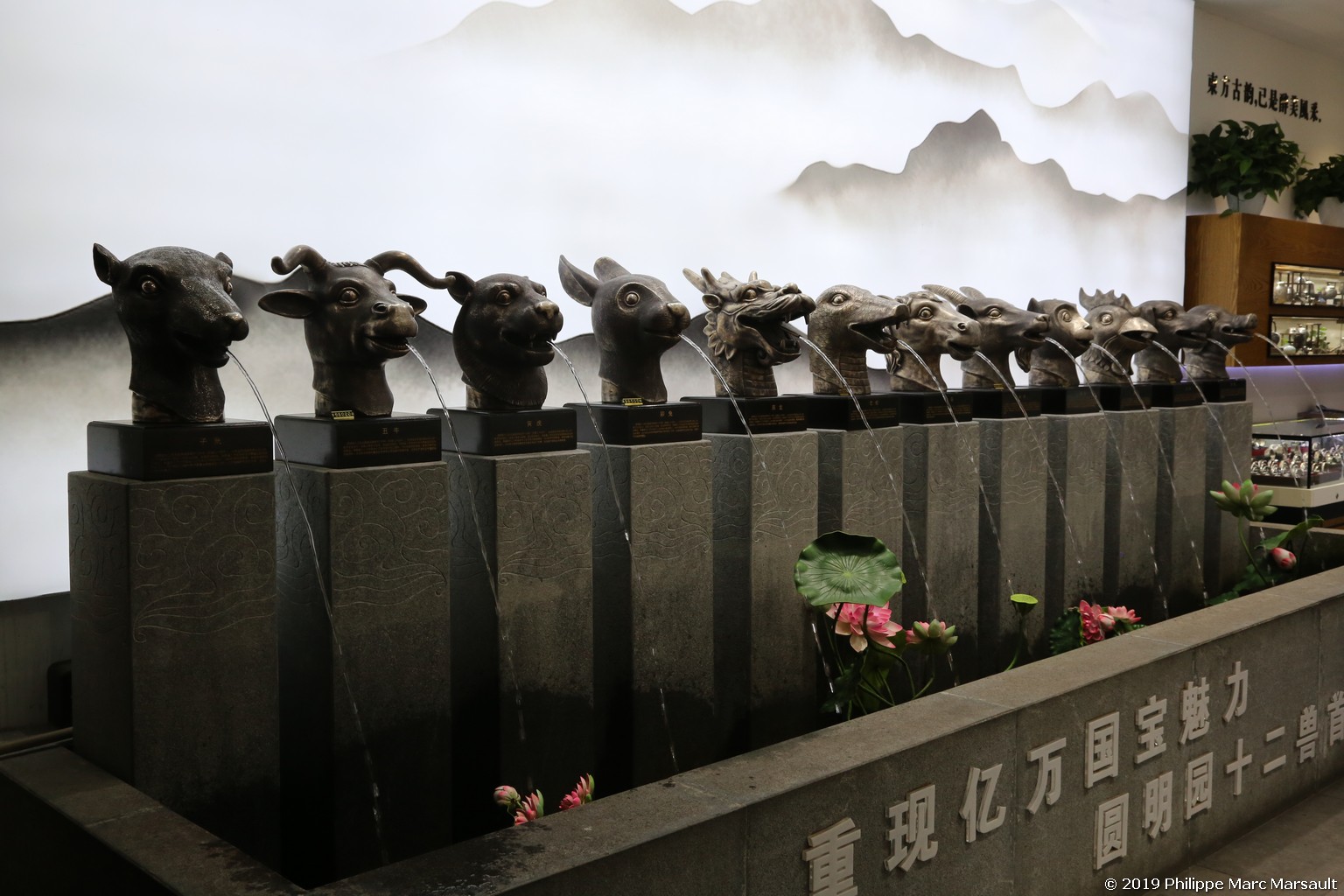 /ecran/Chine_Ph_2019_0778.jpg