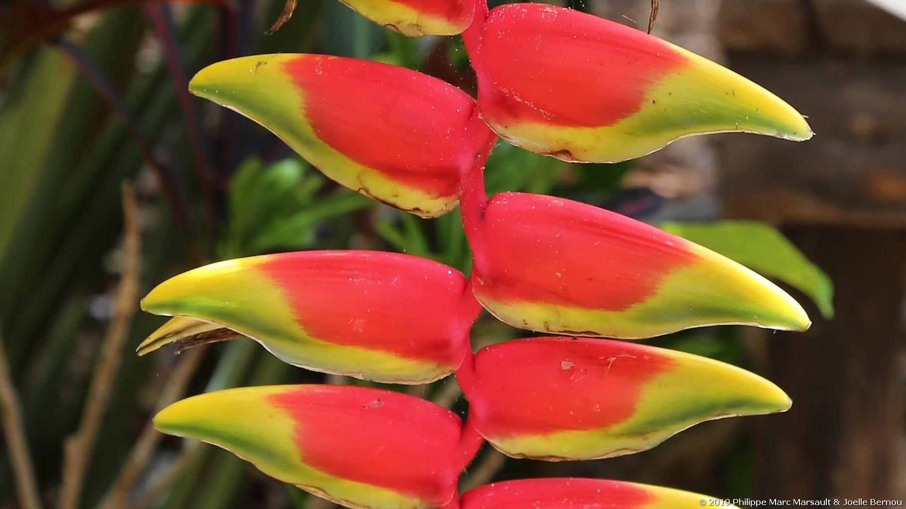/ecran/Colombie_2019_0740.jpg