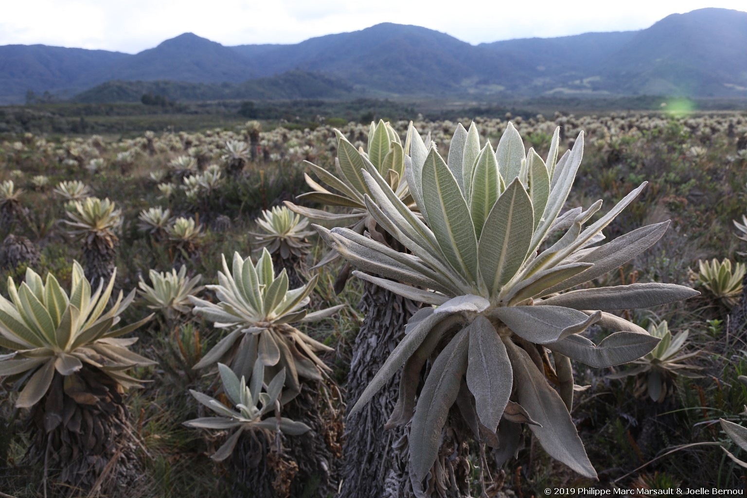 /ecran/Colombie_2019_0776.jpg