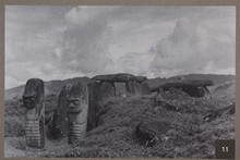 vignette Colombie_2019_0533.jpg 