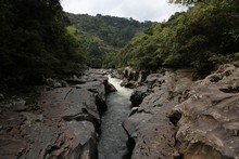 vignette Colombie_2019_0693.jpg 