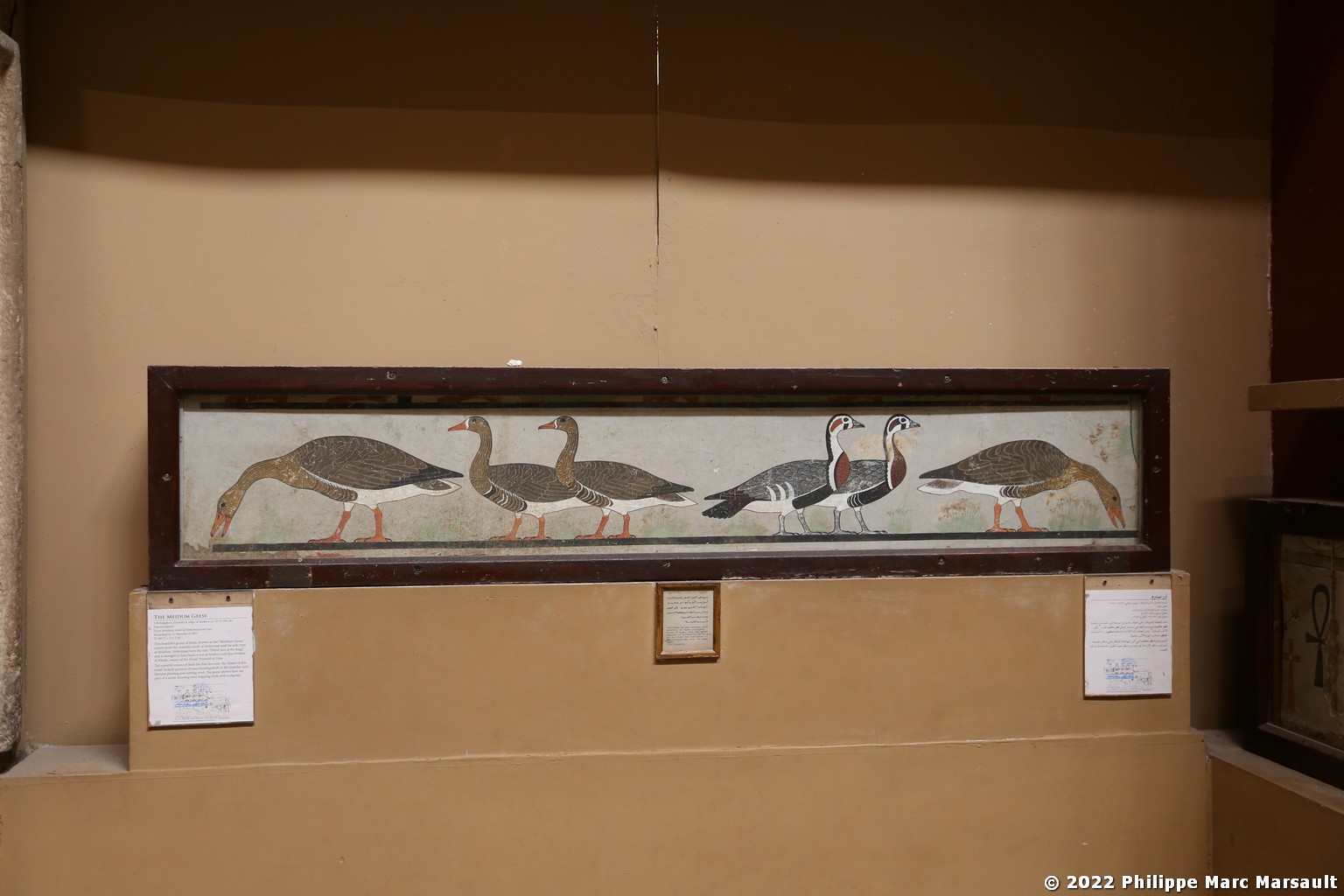 /ecran/Egypte-2021_0039.jpg