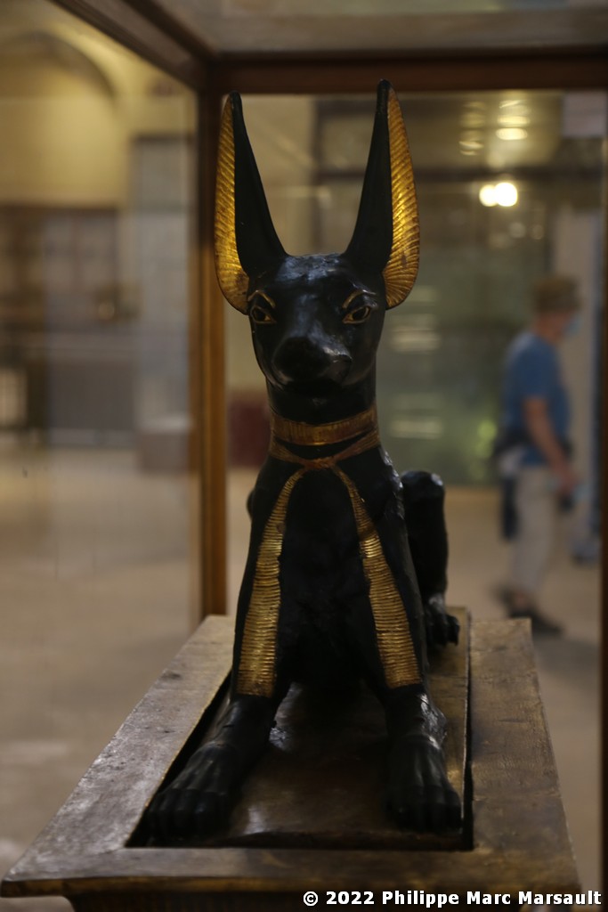/ecran/Egypte-2021_0121.jpg
