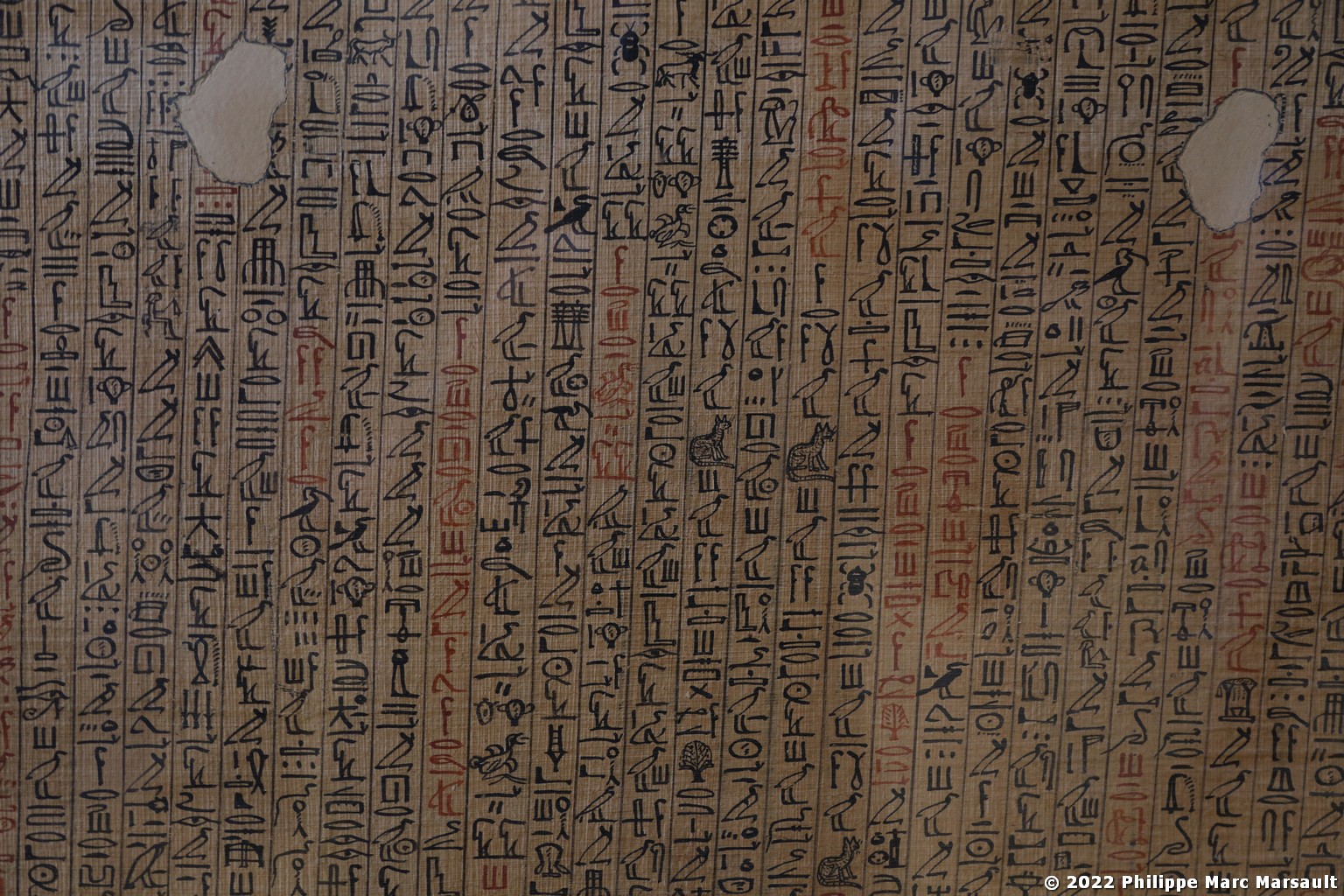 /ecran/Egypte-2021_0170.jpg