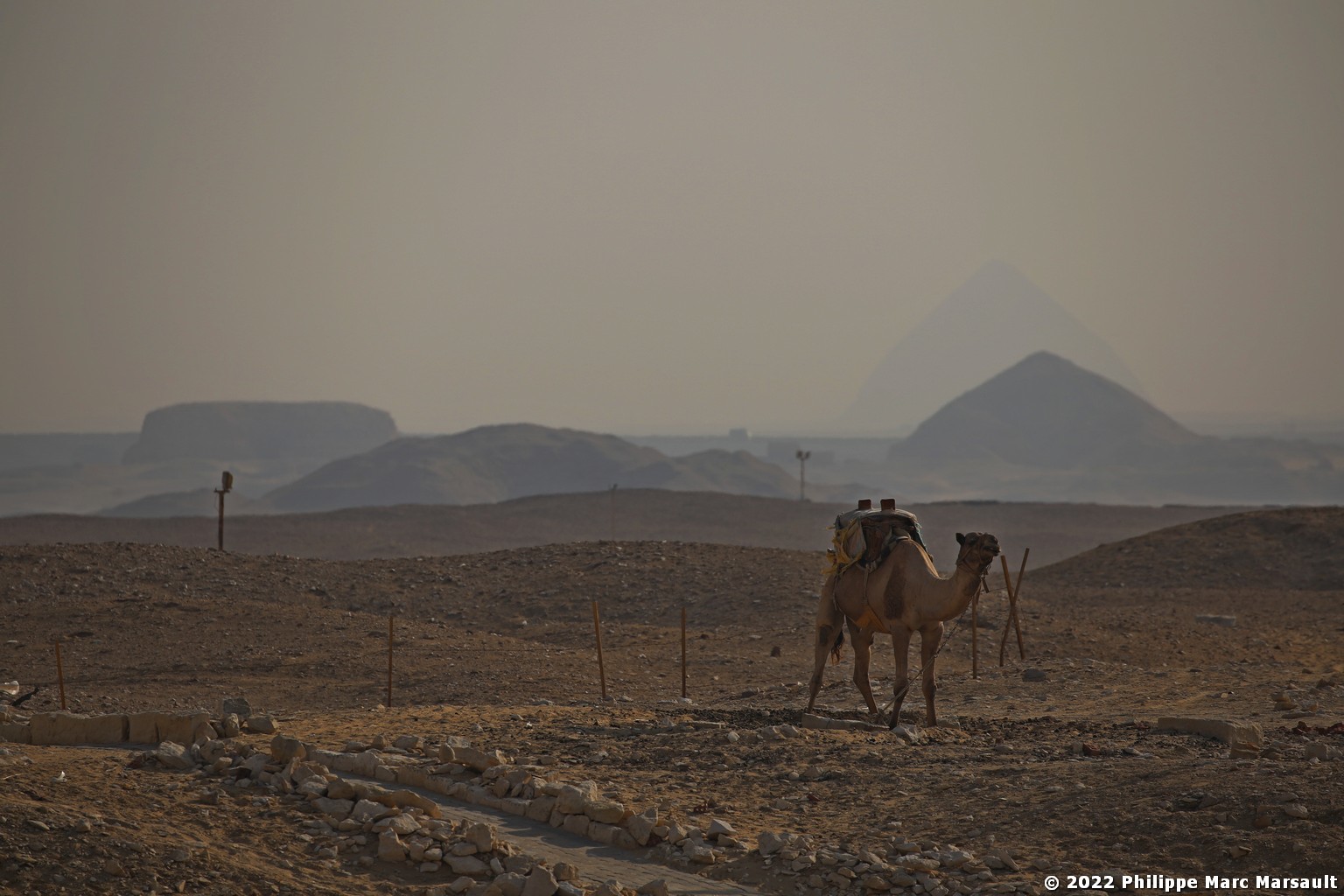 /ecran/Egypte-2021_0378.jpg