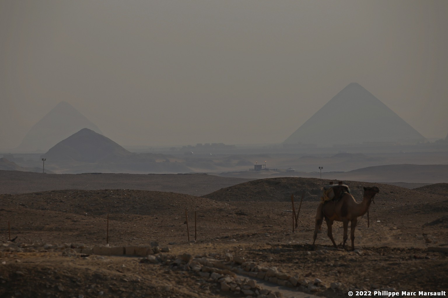 /ecran/Egypte-2021_0381.jpg