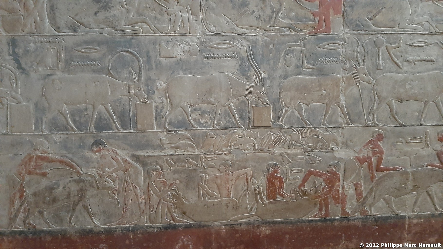 /ecran/Egypte-2021_0426.jpg