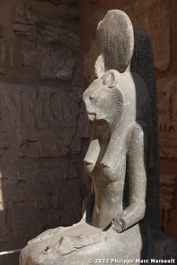 /ecran/Egypte-2021_0482.jpg