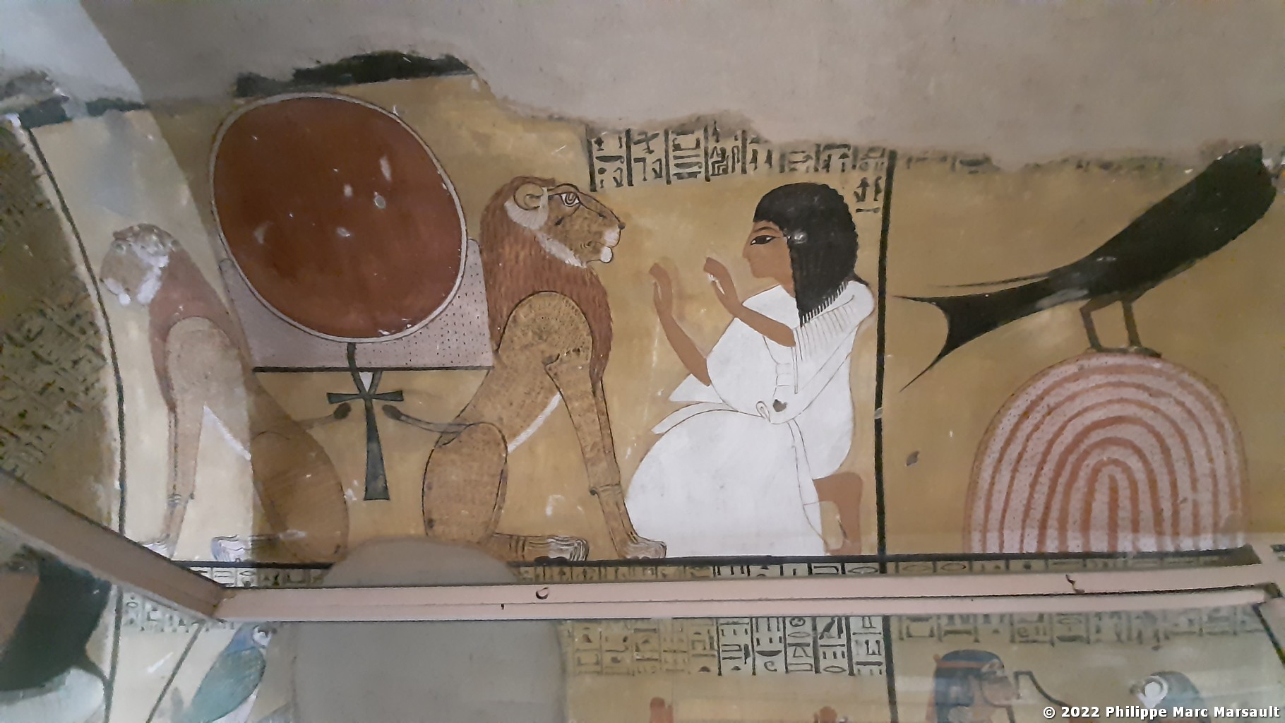 /ecran/Egypte-2021_0595.jpg