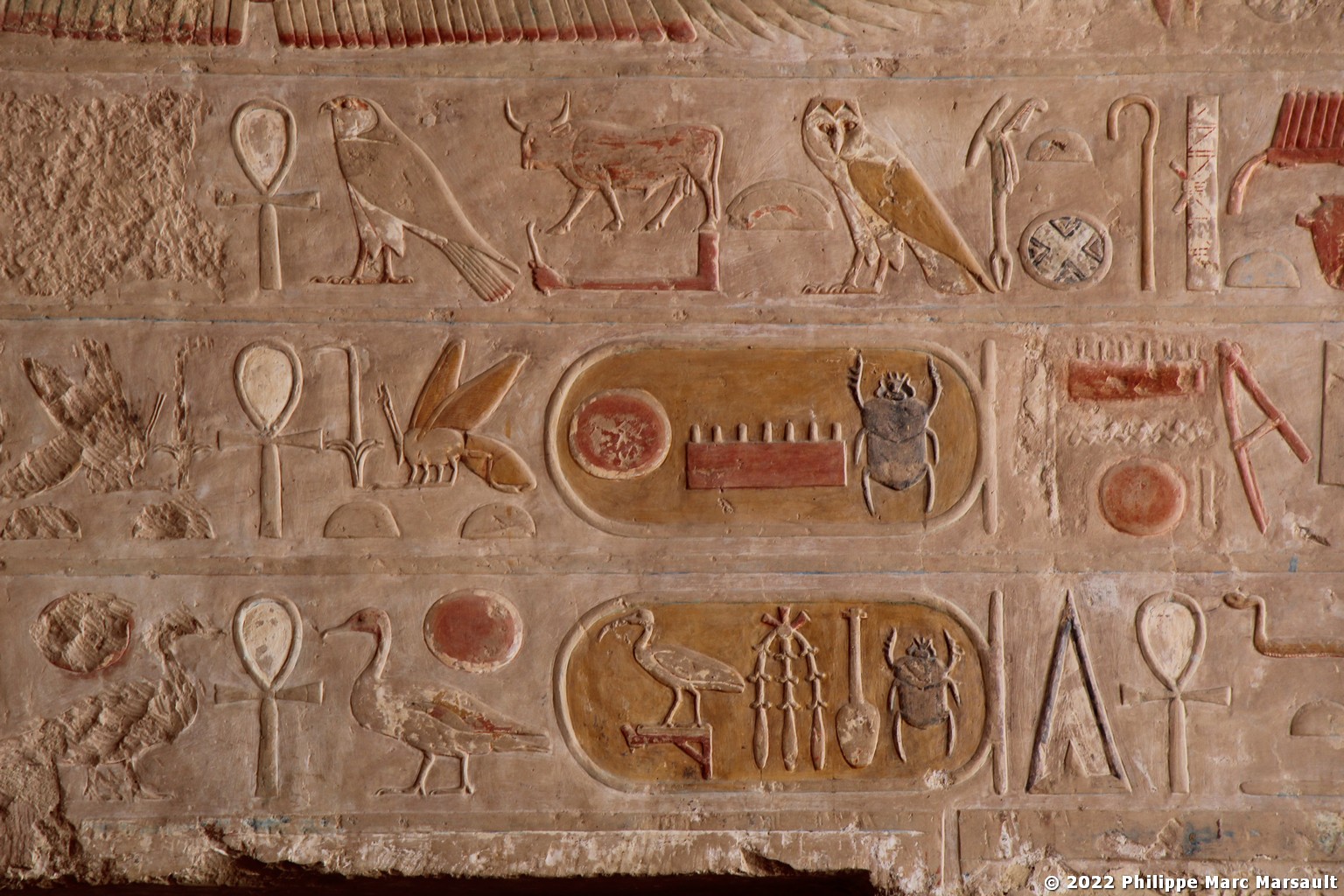 /ecran/Egypte-2021_0648.jpg