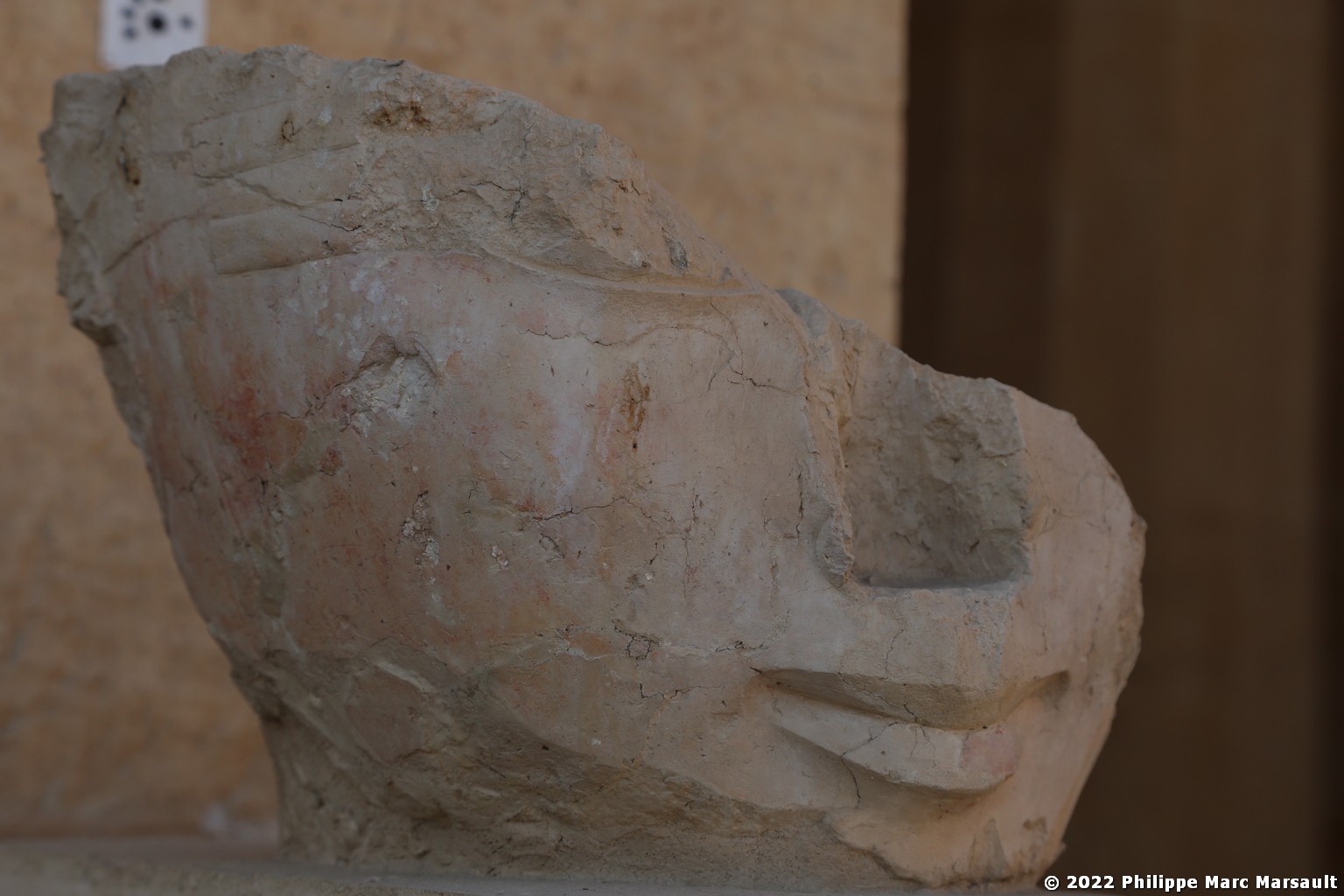 /ecran/Egypte-2021_0655.jpg