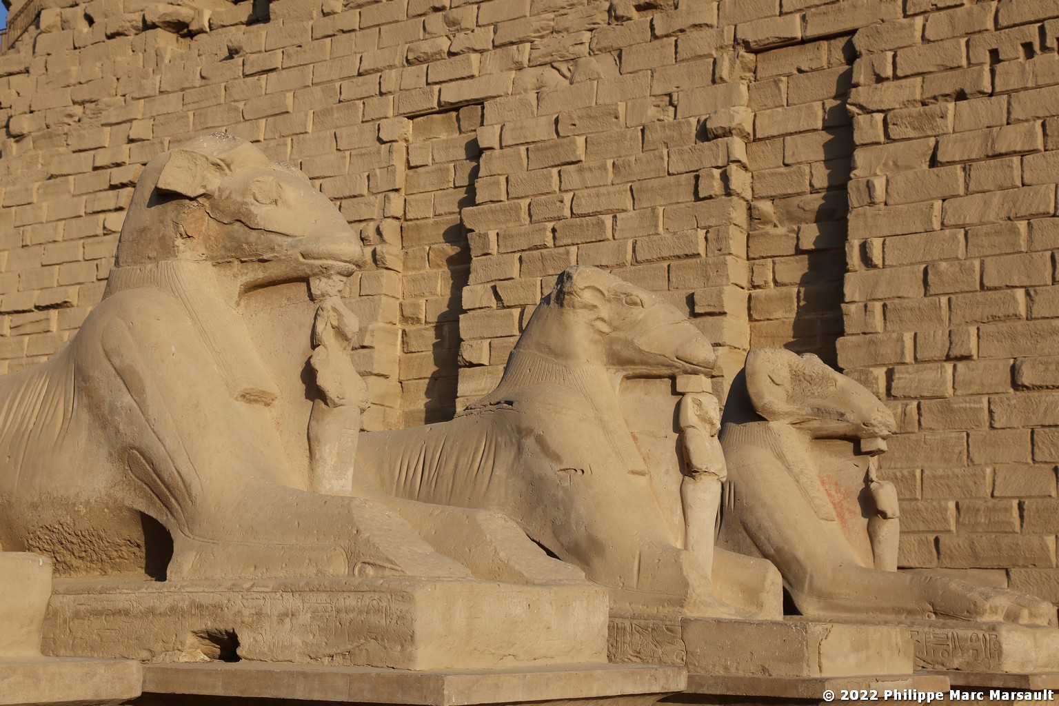 /ecran/Egypte-2021_0863.jpg