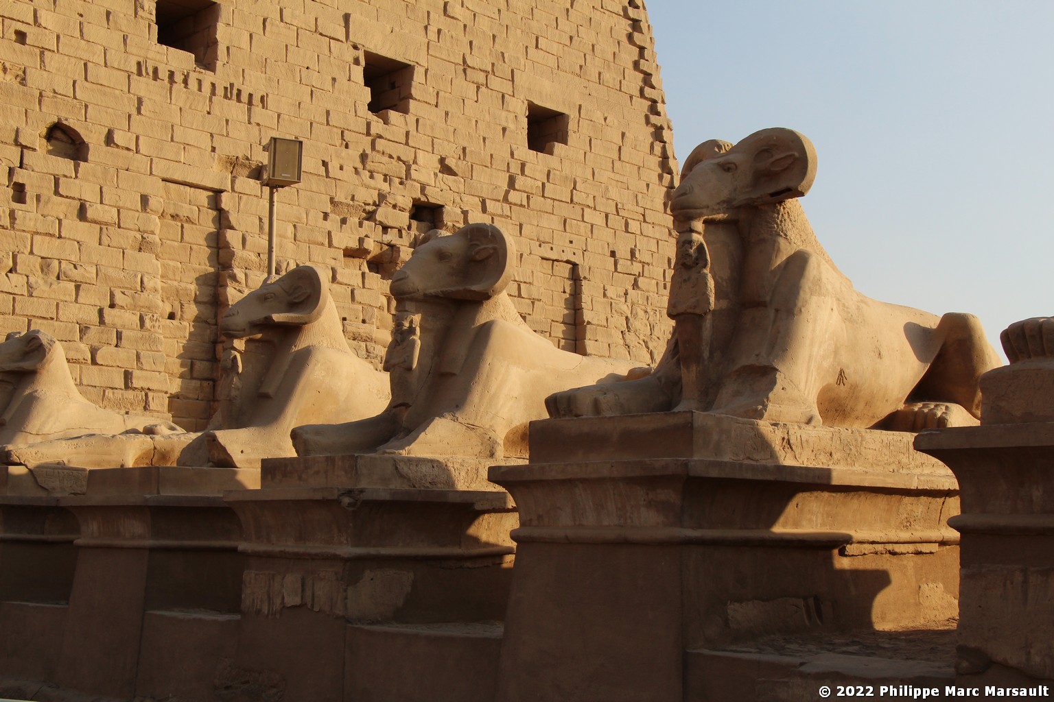 /ecran/Egypte-2021_0864.jpg