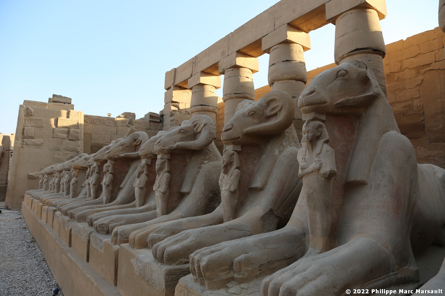 /ecran/Egypte-2021_0866.jpg